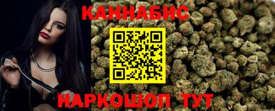 крисы Будённовск