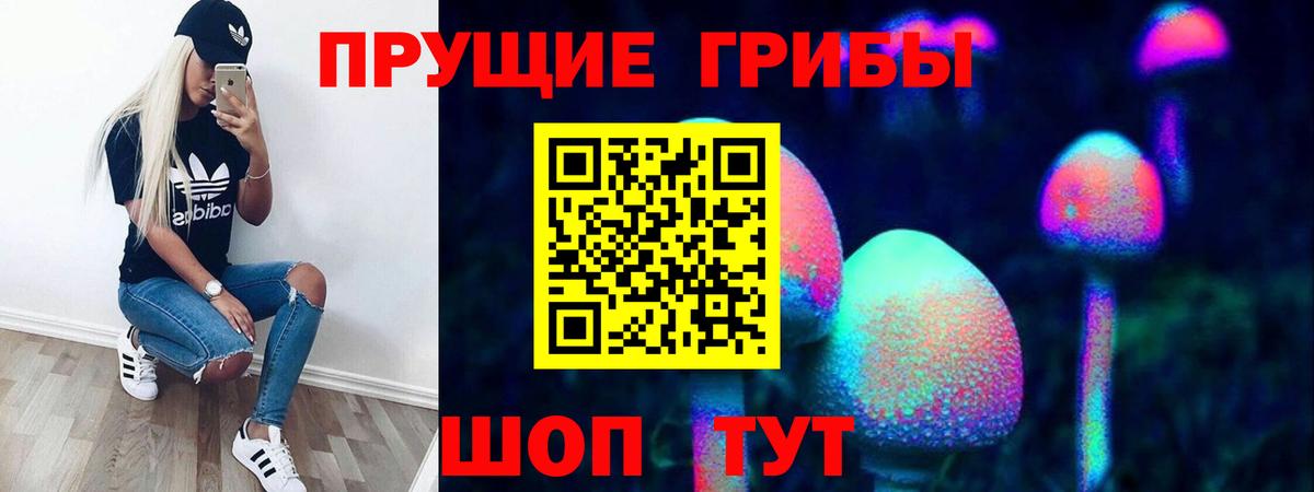 Галлюциногенные грибы Psilocybine cubensis Назарово